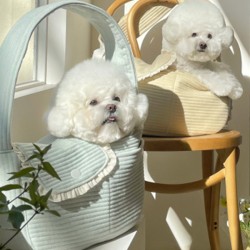 Cute 4 Colors Falbala Pet Bag Accessories