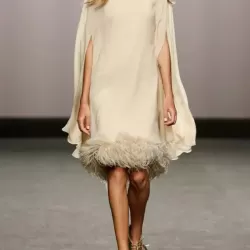 Elegant Feather Panel Dress Long Evening Dress