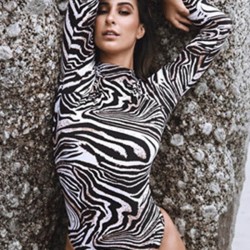 Zebra Stripes Long Sleeve One-Piece Wetsuits